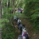 東山道ウォーキング①