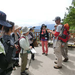 チョウの観察会②＠富士見台高原＊＊伊那谷自然友の会＊＊