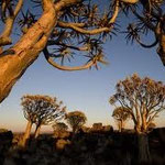 NAMIBIA MOTORBIKE TOURS ENDURO TOURS QUAD BIKE TOURS 4 x 4 SELF-DRIVE TOURS OFFROAD TOURS ADVENTURE TOURS / NAMIBIA SOUTH / WINDHOEK  KALAHARI GIANTS PLAYGROUND KÖCHERBAUMWALD FISHRIVER CANYON AI-AIS SOSSUSVLEI