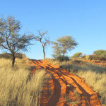 NAMIBIA MOTORRADREISEN ENDUROTOUREN QUADTOUREN GELÄNDEWAGENTOUREN ABENTEUERREISEN OFFROADTOUREN / NAMIBIA CAPRIVI SAMBESI VICTORIA WASSERFÄLLE