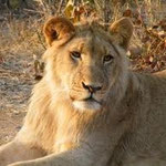NAMIBIA MOTORRADREISEN ENDUROTOUREN QUADTOUREN GELÄNDEWAGENTOUREN ABENTEUERREISEN OFFROADTOUREN / NAMIBIA CAPRIVI SAMBESI VICTORIA WASSERFÄLLE