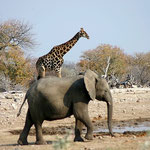NAMIBIA MOTORRADREISEN ENDUROTOUREN QUADTOUREN GELÄNDEWAGENTOUREN ABENTEUERREISEN OFFROADTOUREN / NAMIBIA CAPRIVI SAMBESI VICTORIA WASSERFÄLLE