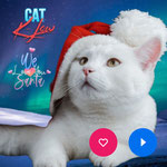 We Love You Santa (feat. Santa Claus) | Cat K-Low | Erschienen am 07.12.21