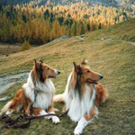 Bärbel und Elfie genießen die Landschaft (2001) 