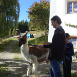 man hat sich angefreundet
