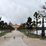 Schloss Moritzburg in Moritzburg