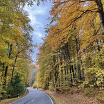 herbstliche Wälder in der Rhön