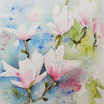 Magnolien 