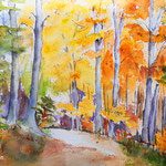 Herbst - Farbenrausch 