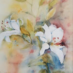 Lilien 