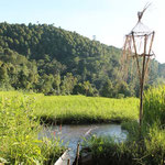 Bewässerung der Reisfelder / watering the ricefields