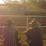 2 Jackaroo beim Rodeo / 2 jackaroo at the rodeo (Nico & Michael)