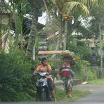 Leben im Dorf / life in a balinese village