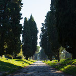 die jahrtausende alte Straße, Via Appia / thousands of years od, Via Appia