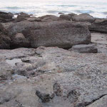 Dinosaurier-Fußabdruck im Meer vor Broome / Dinosaur-footprint