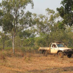 ich mit dem Hilux vor der Herde / me in the lead with Hilux