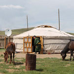 typisch Mongolei