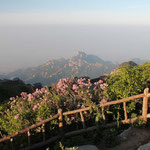 Blick vom Mt. Tai / view from Mt. Tai
