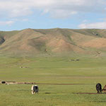 Zentral-Mongolei