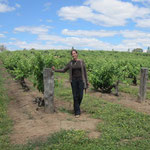 Steph im Weinberg / Steph at the vineyard