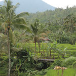 Brücke bei Jatiluwih / Bridge near Jatiluwih