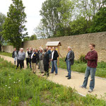 Wildblumenwiese