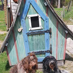 Mit freundlicher Genehmigung