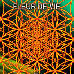 LES ANOMALIES DE LA FLEUR de VIE - PRIX : DON LIBRE ET CONSCIENT - 96 pages illustrées hautes en couleur et géométrie - E-BOOK en version PDF -