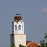 En France on a un coq sur les clochers, en Bulgarie ce sont des cigognes..