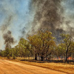 Foto by Frank Lindert - controlled burning