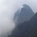 Tropennebel - tropical mist