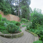Royal Botanical Gardens in Hobart