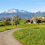 Adligen, Blick auf Pilatus....  © Im Augen Blick_Photography