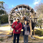 屋島のうどんの老舗・わら家には庭に名物の水車があります。　　　　　　・名物の水車の辺り冬日差す(和良)