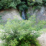 高松市の栗林公園には紫雲山から流れ落ちる天然の滝があります。　 　　・天然の滝ぞ栗林公園は(和良)