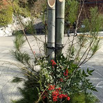 正月を祝う門松の辺りには清気が漂っている感じがしました。　　　　　・門松の辺り清気のありにけり(和良)