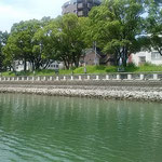 蜂須賀家の典医だった関寛斎の像がある中徳島河畔緑地です。　・橋ごとに変はる町の名船遊（和良）