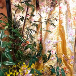 金銀のまぶしい打掛に真っ赤な実南天が添えられ豪華でした。　　　　　　　・金銀の打掛まぶし実南天(和良)