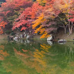 栗林公園では池の水面にも岸辺の冬紅葉が写って綺麗でした。　　　　　・水面にも紅鮮やかに冬紅葉(和良)