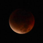 地球の影に入った満月は赤銅色で少し不気味な感じがしました。　　　　　・皆既月食なる満月の赤銅に(和良)
