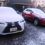 藍住町の我が家の駐車場に降った初雪は昼までに消えて仕舞ました。　　・昼までに消えて仕舞し初雪よ(和良)