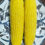 クール便できた菅平の玉蜀黍をその場で茹でていただきました。　　　　・クール便なる唐黍を即茹でる(和良)