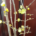 温かい部屋に活けた臘梅の満開になる速さにびっくりしました。　　　　　・臘梅の満開になる速さかな(和良)