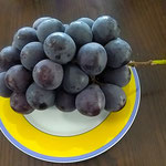 藍住町のショッピングモールには艶の良い黒い葡萄もありました。　　　・粒揃ひなるを選びて葡萄買ふ(和良)