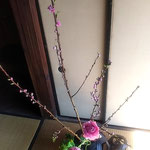 原田家住宅の居間には花をつけ始めた桃が活けられていました。　　　・この桃も小さき花を付け初めし(和良)