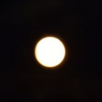 鳴門海峡に上りはじめた中秋の名月は大きく見えました。　　　　・上り初めたる名月の大きさよ（和良）