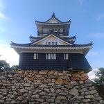 浜松城には若き日の家康が戦いに破れて帰ってきた歴史もあります。　　　　・炎天に浜松城の凛として(和良)