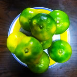 地元産の蜜柑は新鮮で艶がよく美味しそうなので買って来ました。　　　　・地元産蜜柑の艶の輝きよ(和良)