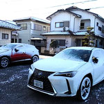 日本列島に今季最高の寒波が来て南国の徳島に雪が降りました。　　　　　・最強の寒波阿波にも春の雪(和良)