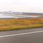 羽田空港の滑走路には真っ赤な草紅葉が広がっていました。　　　　　　・真っ赤なる草紅葉見て着陸す(和良)